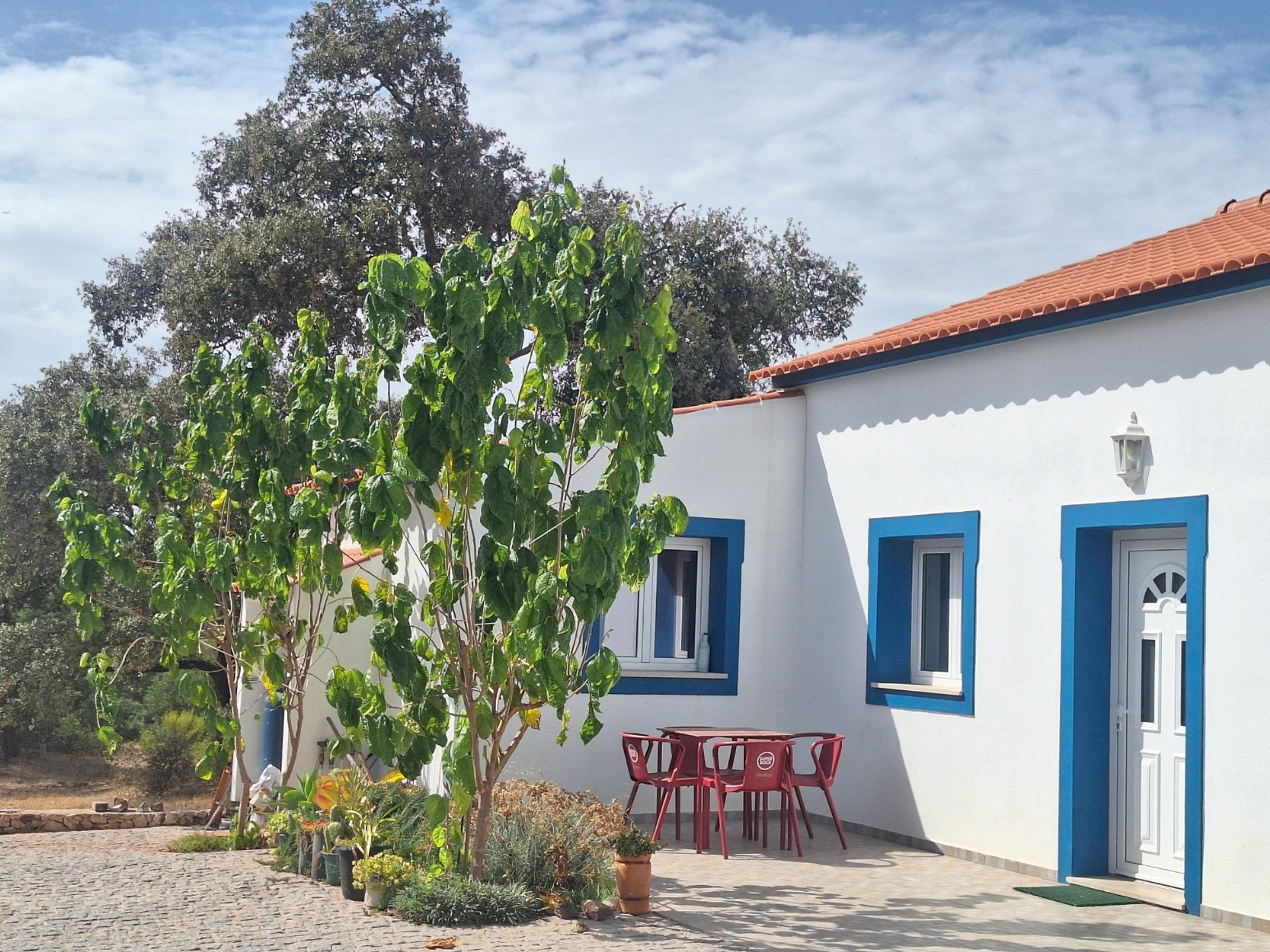 House exterior garden view