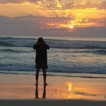 Landlords profile photo