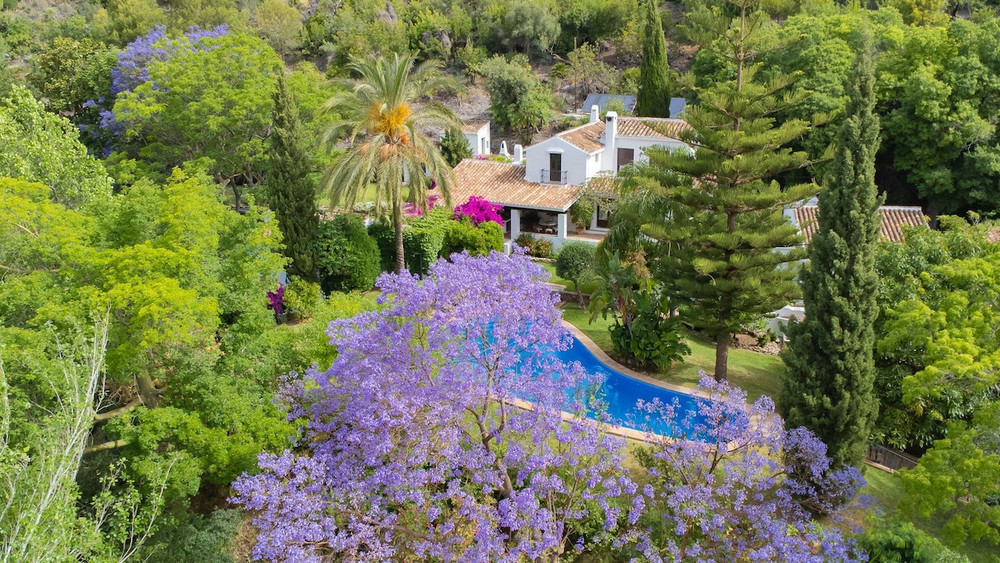 Cubo's Villa Las Lagunas de Azahar High Privacy preview