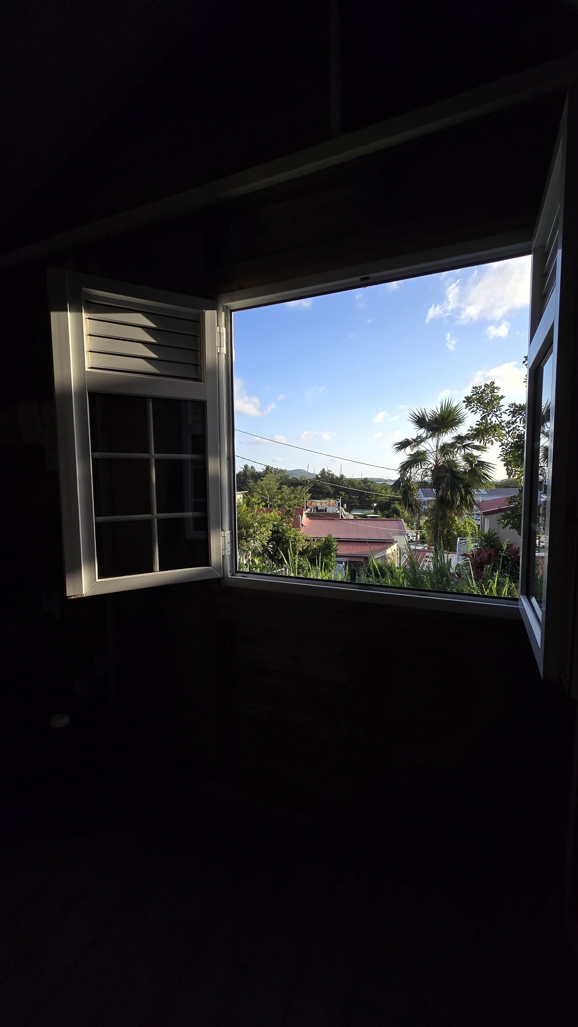 Peaceful view over tropical greenery and residential area