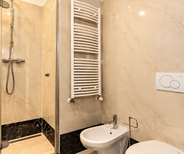 Hound Deluxe Suite | Historic Vysehrad Luxury
