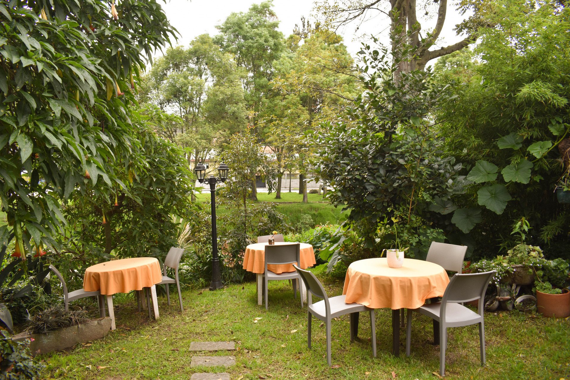 Patio posterior 