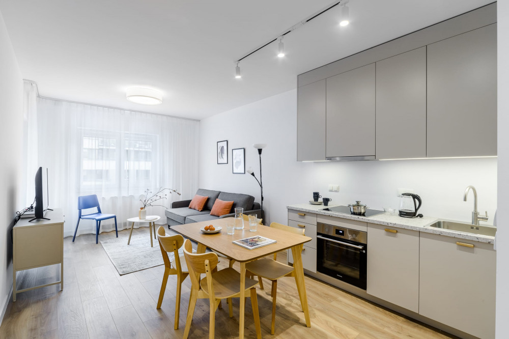 Modern apartment near the Chopin Airport preview