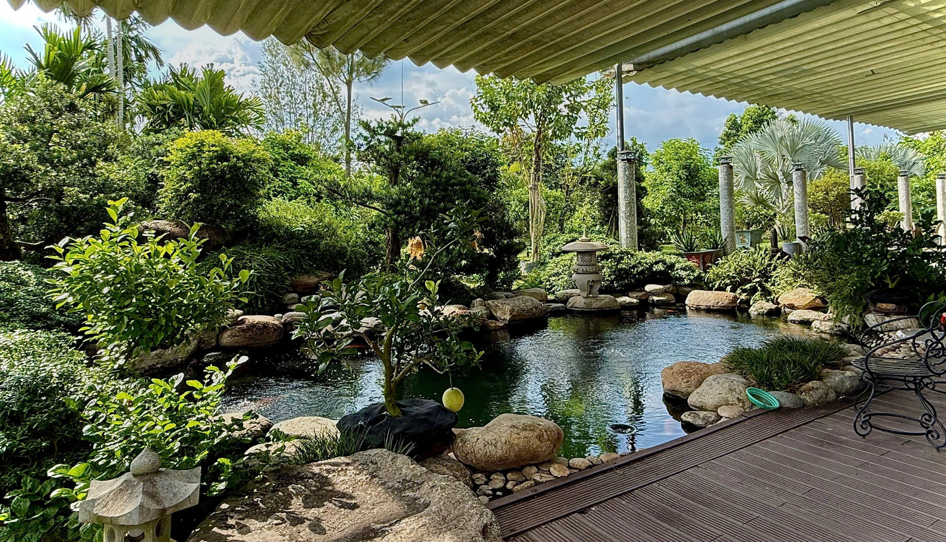 Koi pond