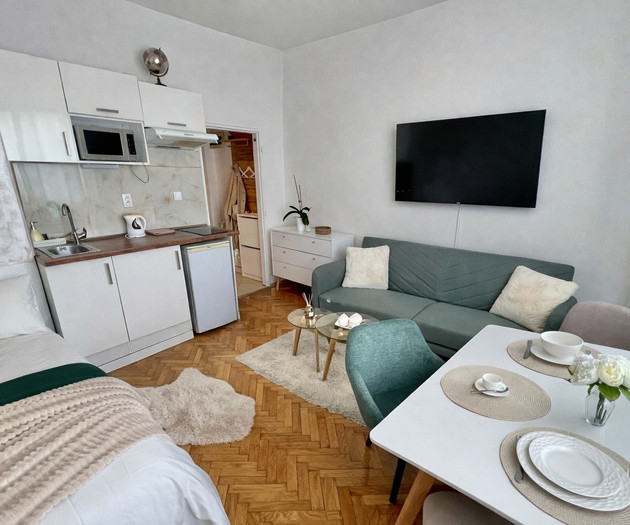 CITY CENTER COZY APARTMENT near UNESCO VYSEHRAD