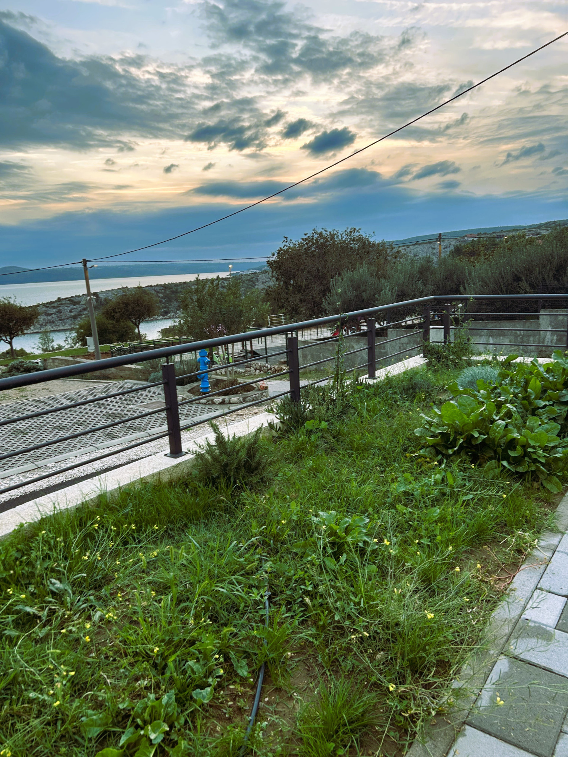 frontyard - seaview