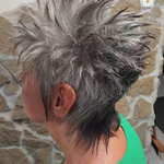 Landlords profile photo