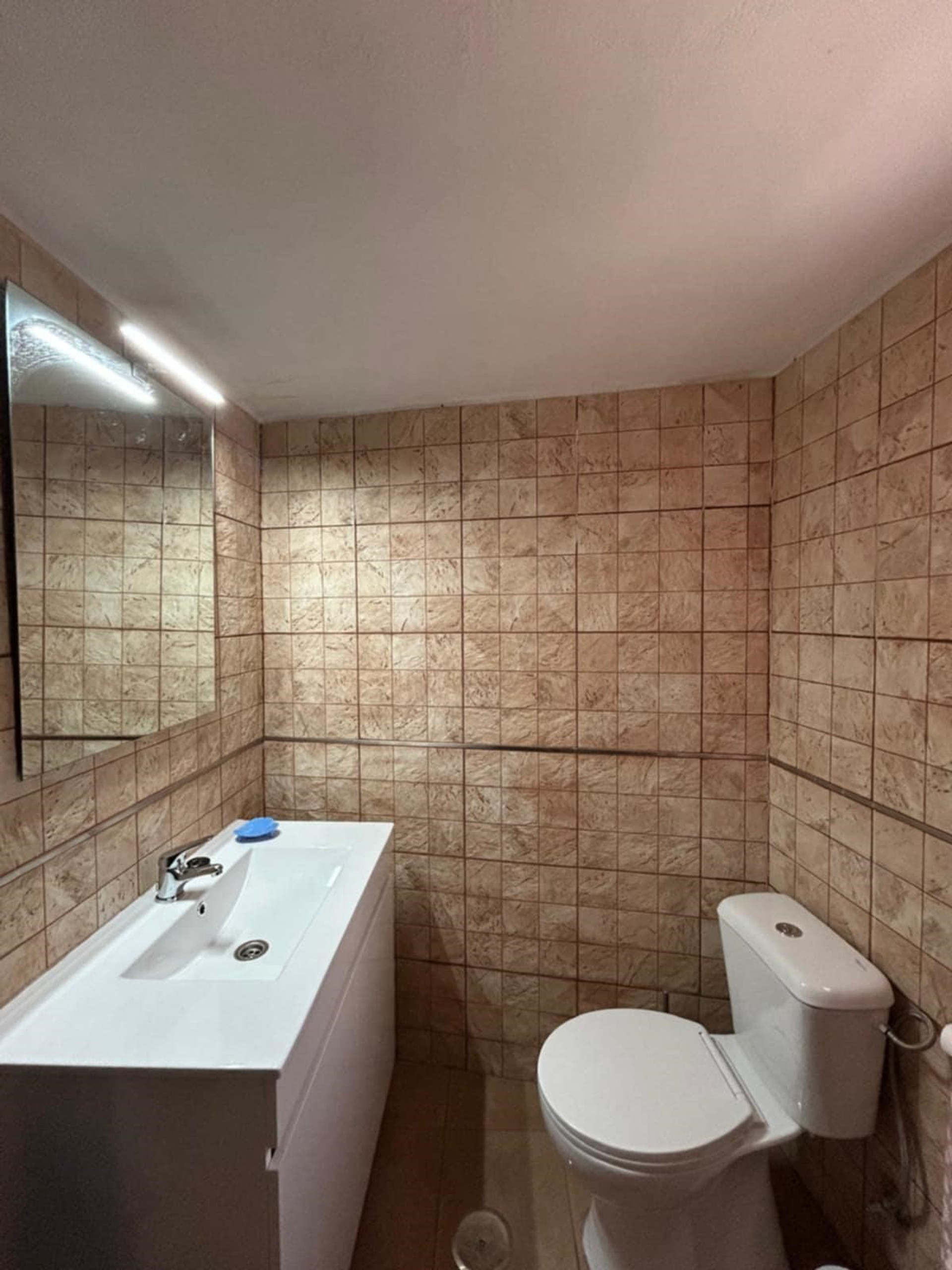 Baño, ducha, WC y lavabo 