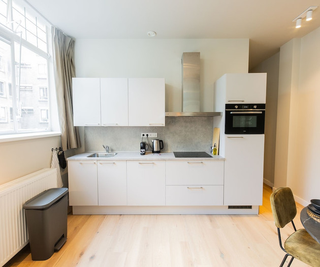 Luxurious Dowtown 3BDR Apartment WS