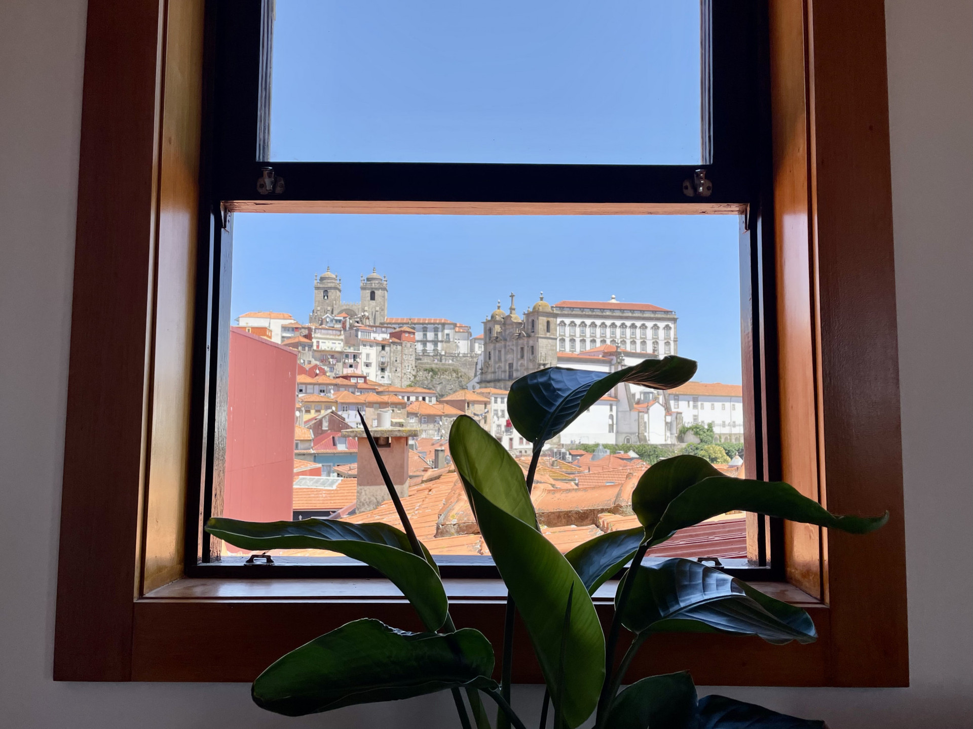 Vista