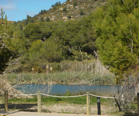 Apartamento in Canyamel (Mallorca)