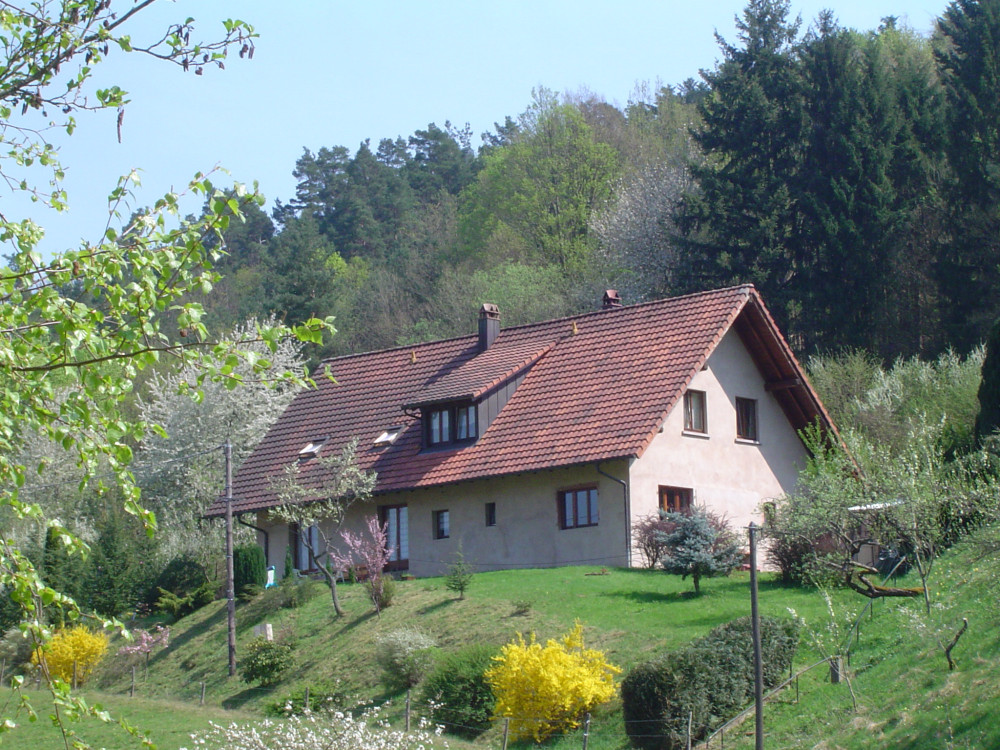 House with mountain views, pet friendly, wifi preview