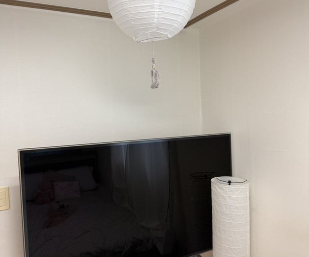 Lantern, TV and floor lamp