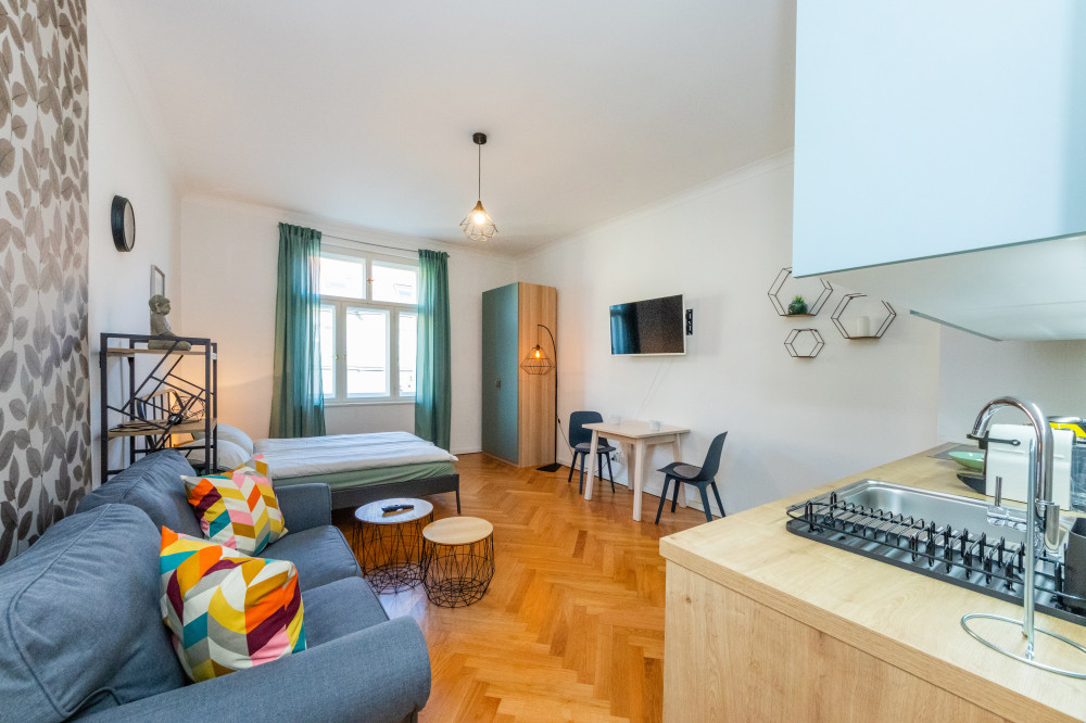 Lovely studio 35 sqm-Vinohrady area preview