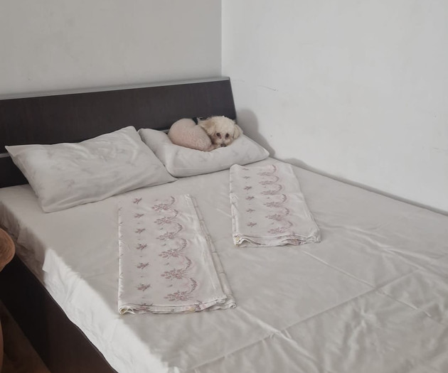 Large Group Accommodation Bucharest, 4 apt,20slips