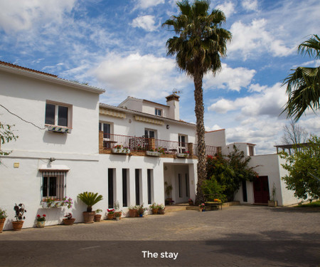 Charming guesthouse in rural Malaga - Double room Flor