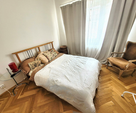 Bright renovated apartment in Prague 3