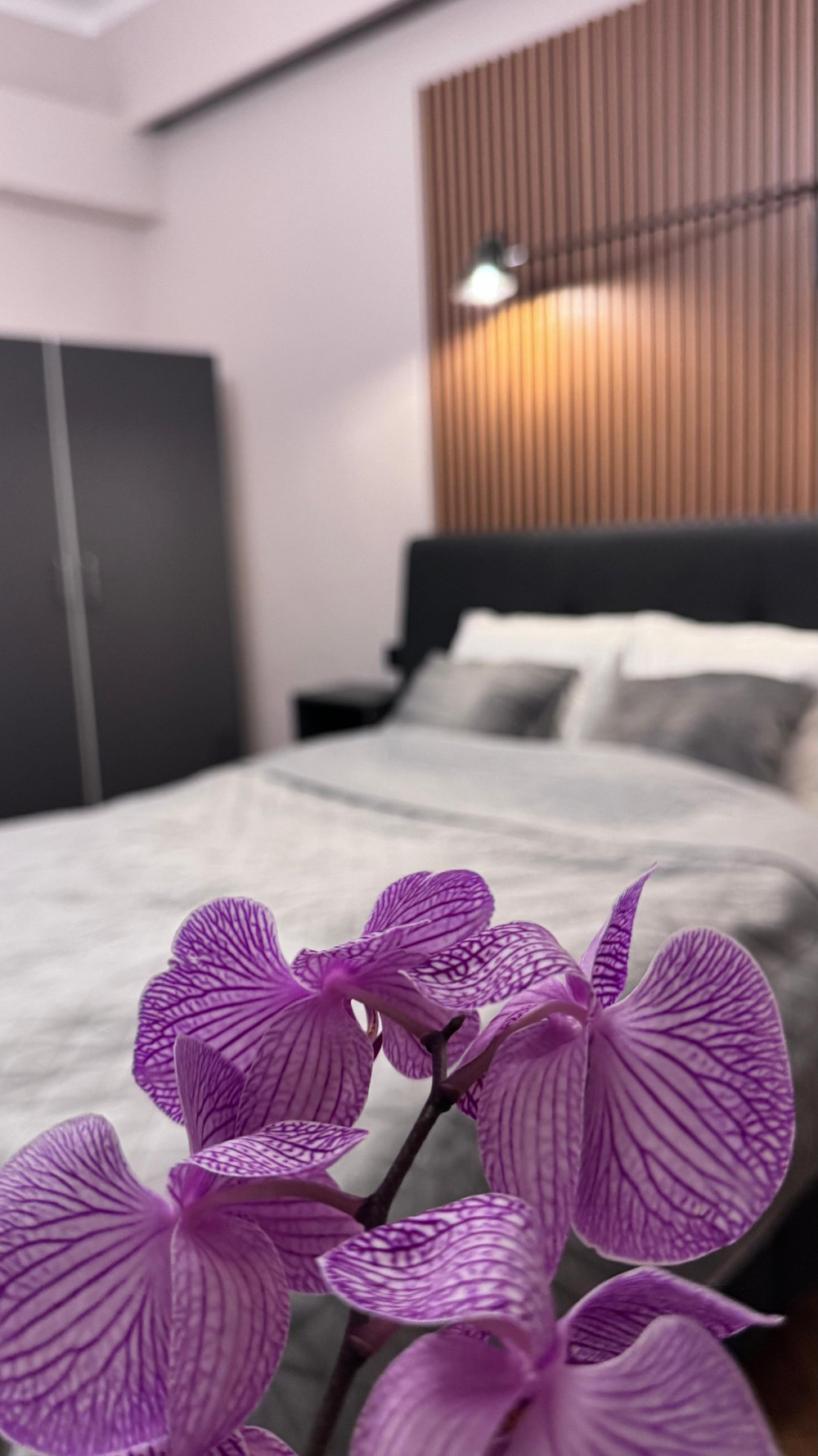 Comfort & Style | Calea Victoriei | preview