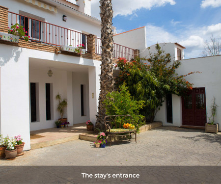 Charming guesthouse in rural Malaga - Double room Lemon