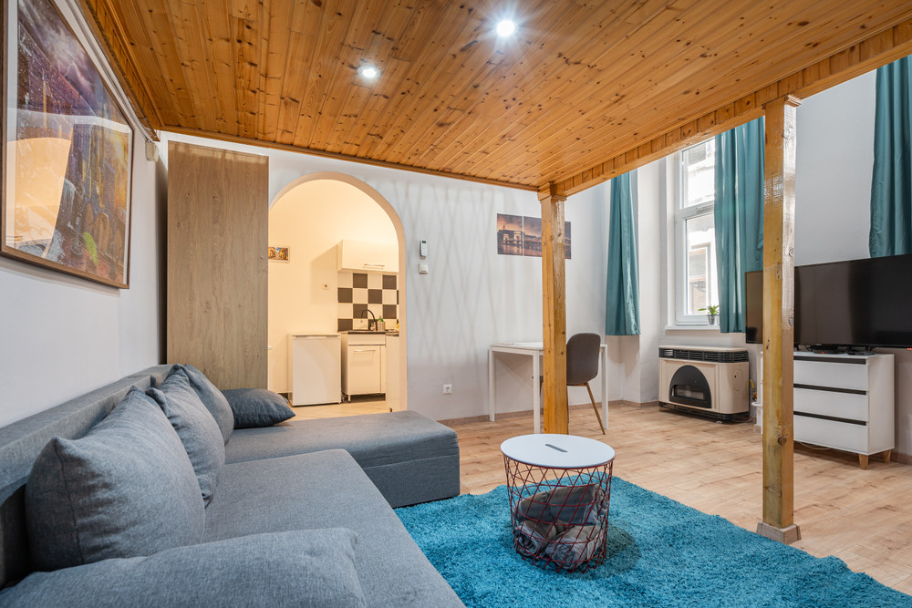 Dream apartment next to Heroes' Square preview