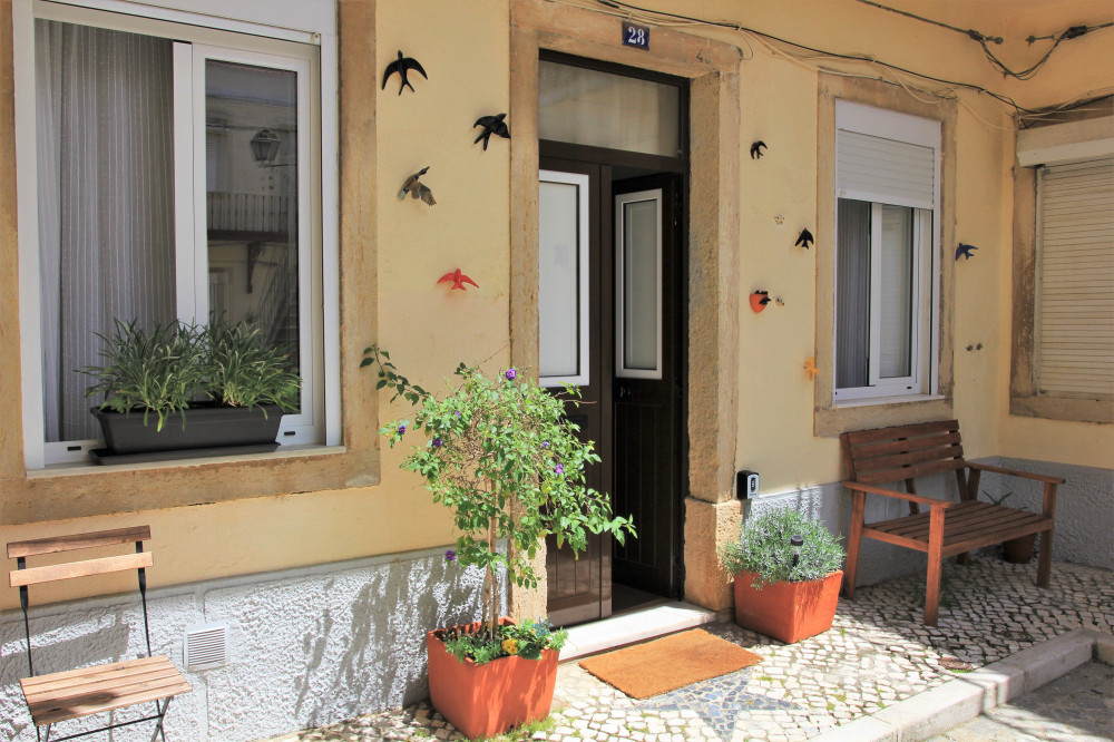 The Back Street Nest preview
