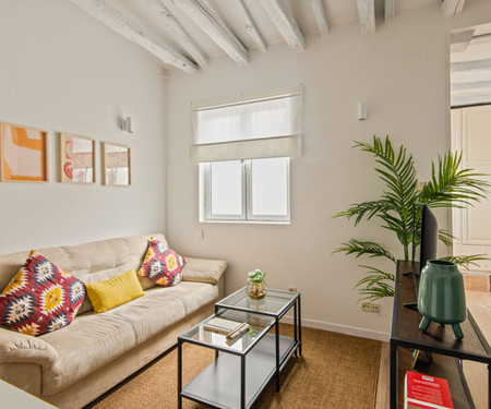 Charming 1 bedroom apartment in Atocha