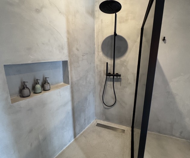 Shower with rain showerhead