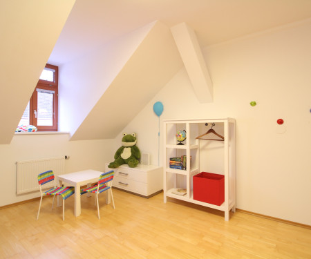 Spacious apartment near Prague Castle with parking