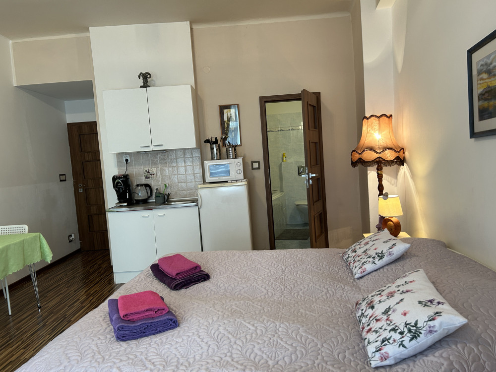 Cozy studio in center preview