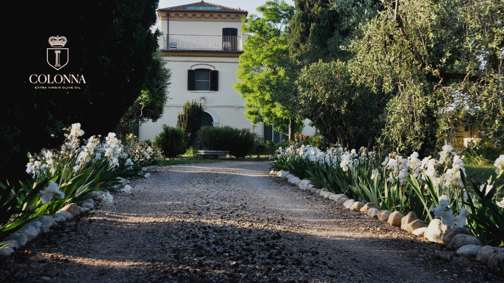 Italian countryhouse in the olive grove preview