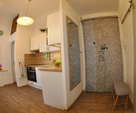 Newly reconstructed apartment at Letna