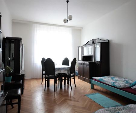 Freshly renovated apartment in Royal Vinohrady