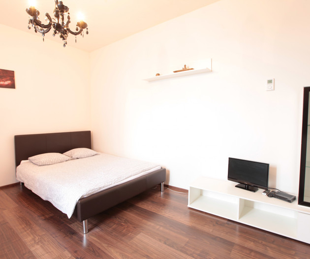 Apartment 1+kk, Prague - Vysočany, Freyova I.