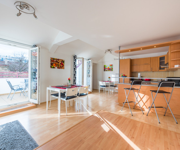 ROOF APARTMENT with TERRACE near WENCESLAS Sq.
