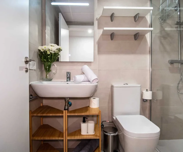 COM01 Luxury flat with terrace in Valencia centre