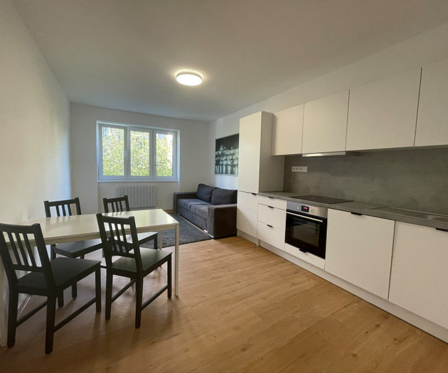 Bright Renovated 2-Bedroom Apartment (3+kk), 73 m²