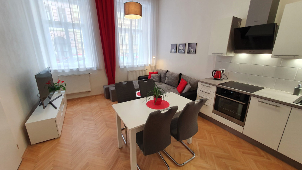 Modern 2 bedroom apartment in the city center preview