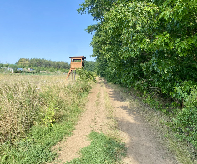 TOP location/ metro/ nature/ suitable for students