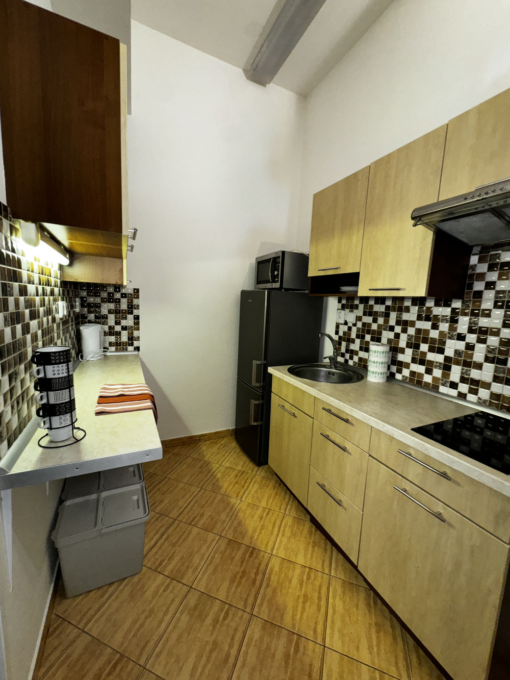 1 bedroom apartment near the center of Prague preview