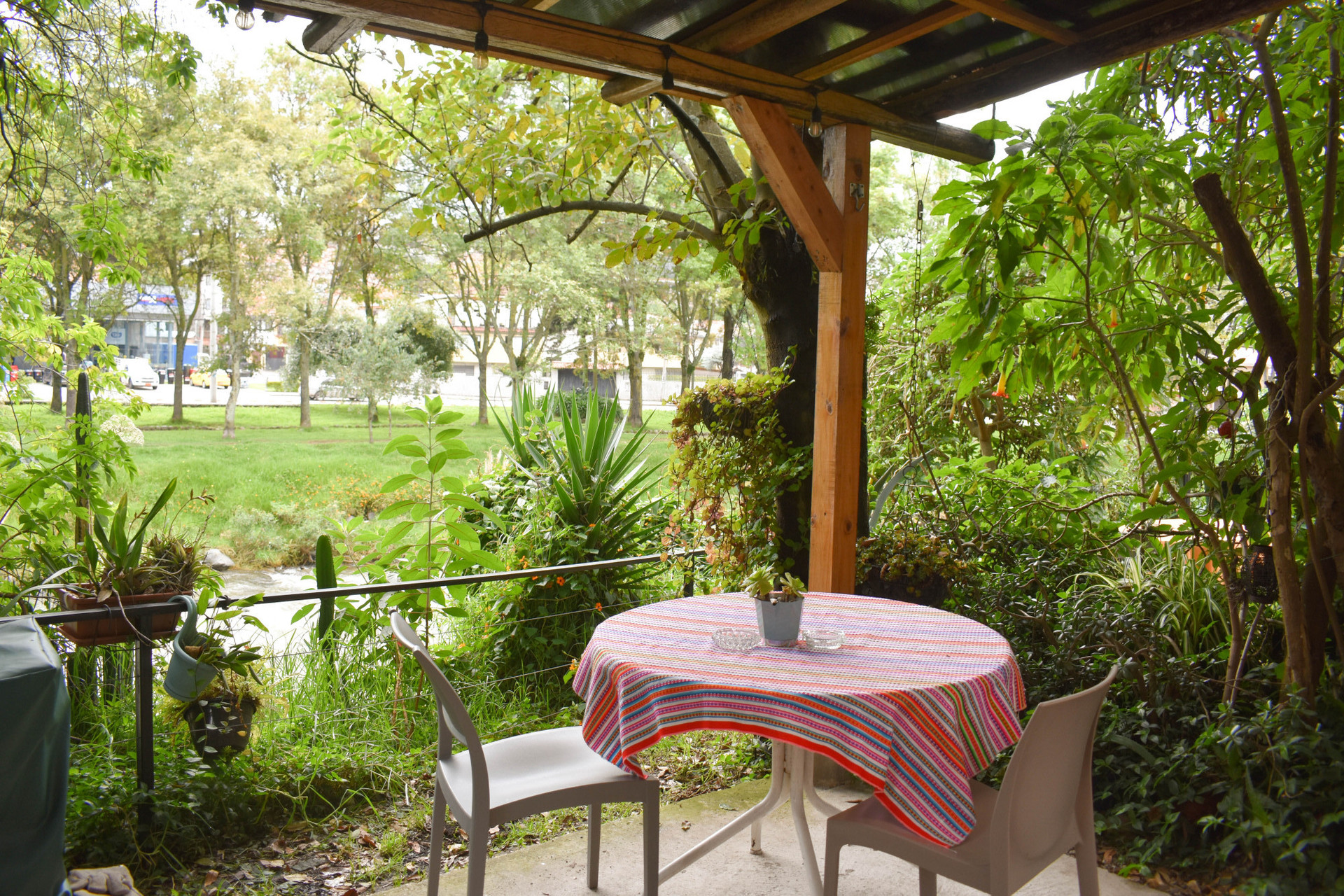 Solarium-Chimenea 