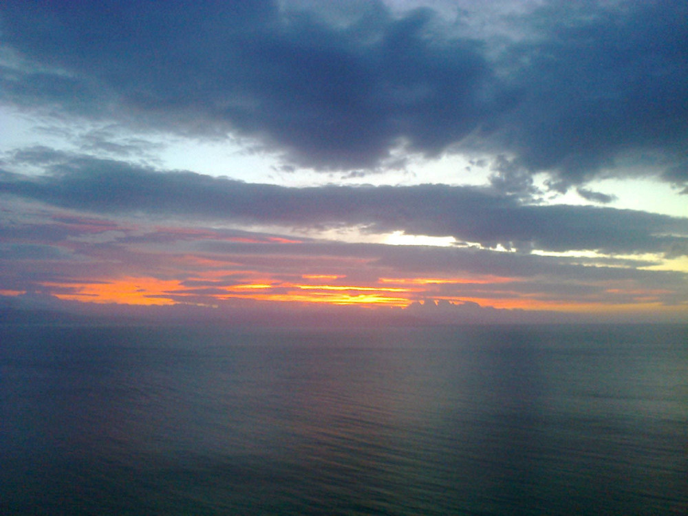 Image #29