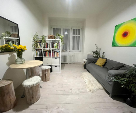 Cozy 2BR Apartment in heart of Karlin area