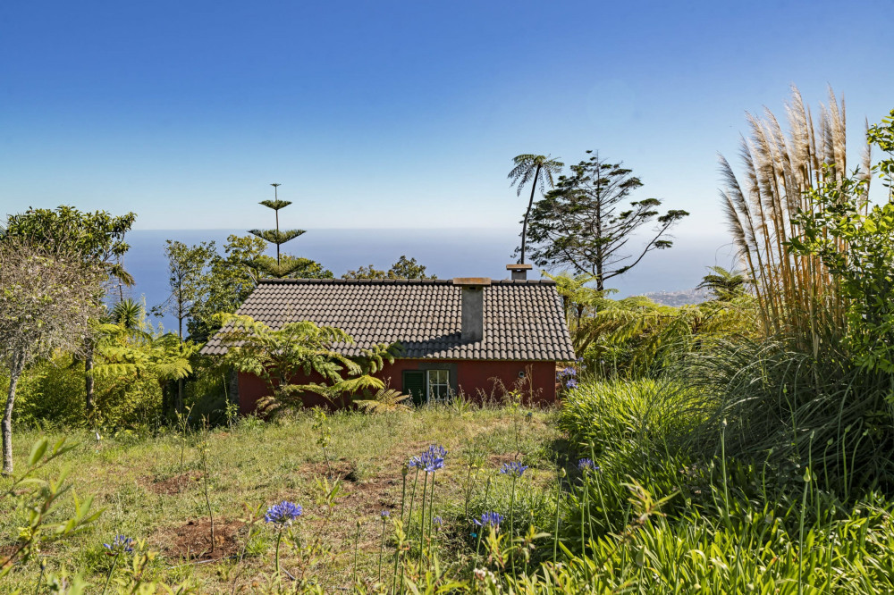 Quinta Devonia - Nogueira, country house with sea 