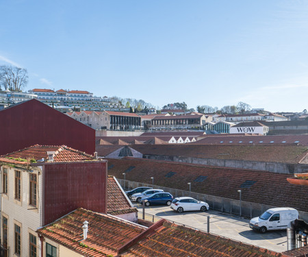 Magnificent Sunny Flat | Douro River