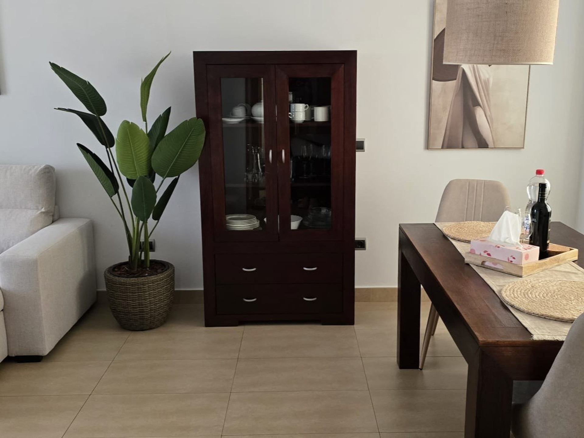 Living room cabinet and plant