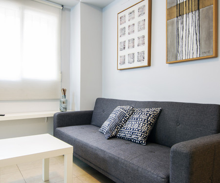 Beautiful flat in the city centre 4.1