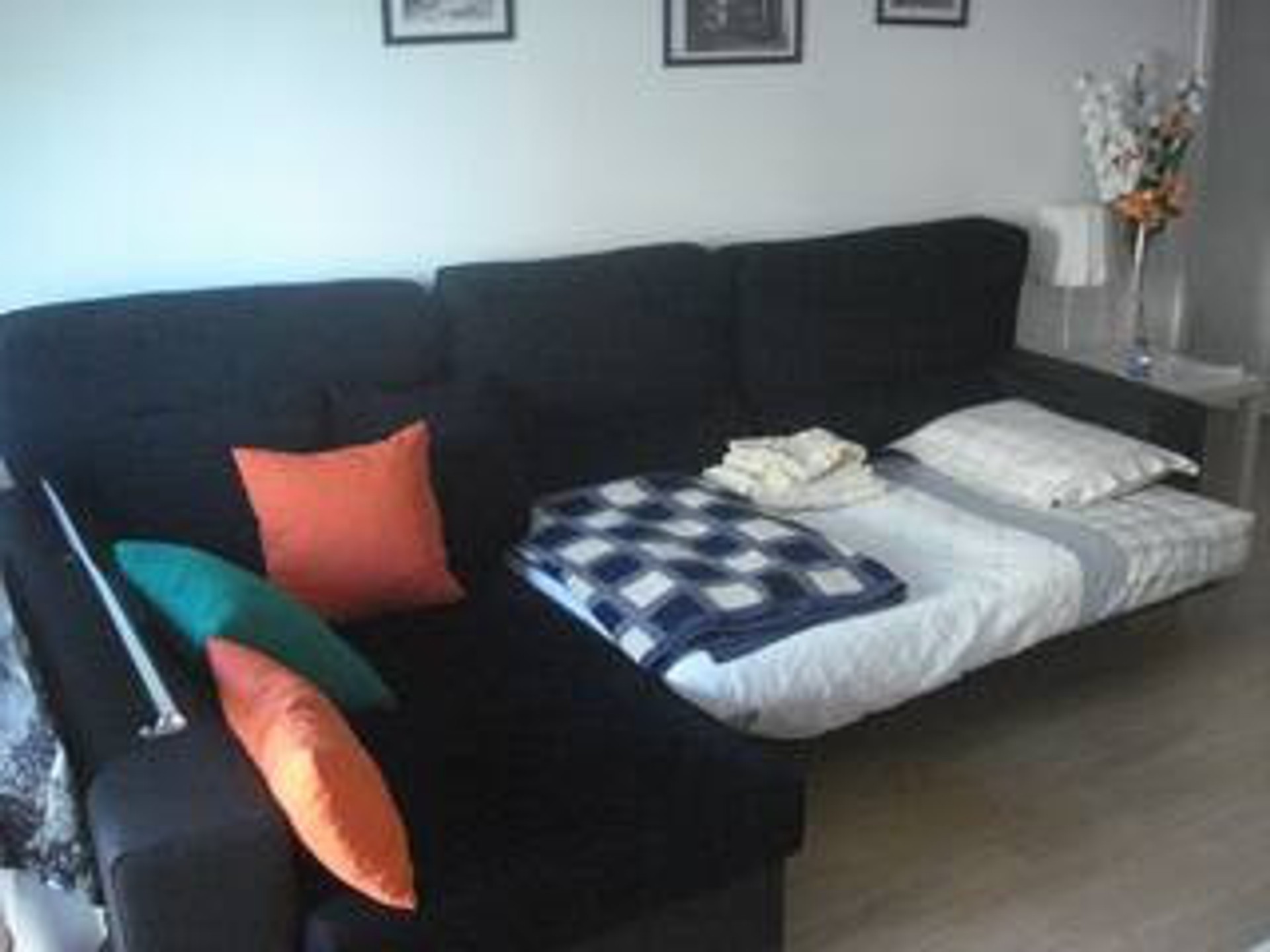 sofa-bed
