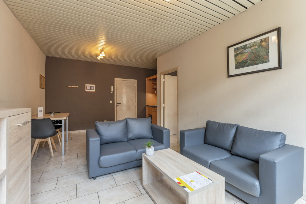Fully Furnished One-bedroom flat in Brussels preview