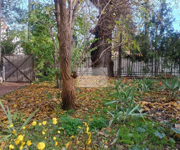 Elegant Duplex in Villa • Central Bucharest
