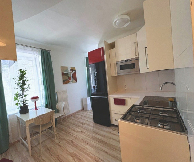 Quiet renovated studio with home office